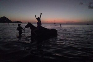 2 Hour Horseback Riding Sunset Tour with Dore's Riding Stable - The Lower Cap Estate to Coast Route: Why This Part Matters