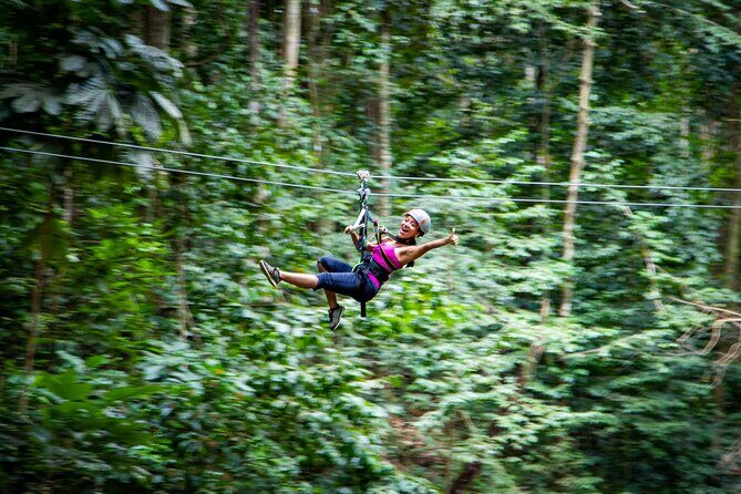 Adrena-Line Zipline, St. Lucia - Key Things That Make Adrena-Line Worth Your Time