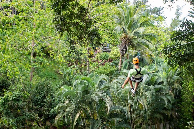 Adrena-Line Zipline, St. Lucia - Who This Zip Line Fits Best (and Who Might Not Love It)