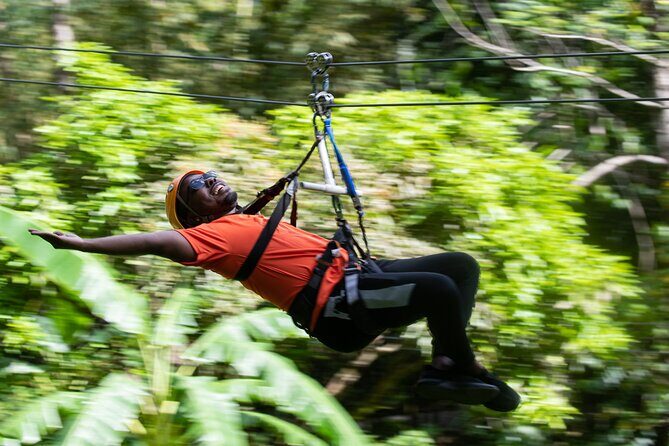 Adrena-Line Zipline, St. Lucia - Should You Book Adrena-Line Zipline in St. Lucia?