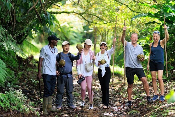 ATV Rainforest Adventure in St. Lucia - ATV in the rainforest starts with Belle Plaine’s easy access