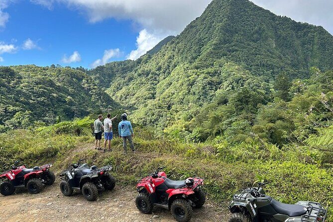 ATV Rainforest Adventure in St. Lucia - Grand Eden Estate stop: birds, fruit, and quick nature context