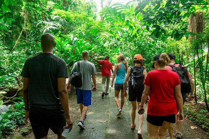 Best of Both Worlds Land and Sea Adventure - Marigot Bay cruise: snorkel, swim, and the big blue payoff