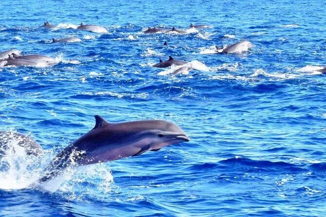 Best Of Full-Day Snorkeling & Beach Excursion with lunch & drinks - What each stop is really like on your day