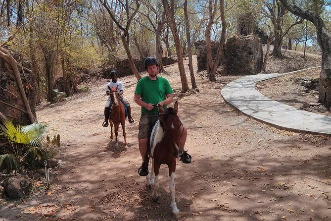 East Coast Horseback Riding & Waterfall Excursion - Wildlife and local plant knowledge you’ll actually remember