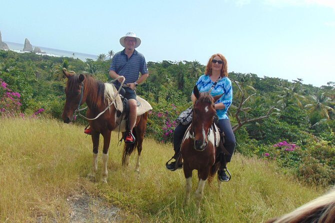 East Coast Horseback Riding & Waterfall Excursion - Value check: is $160 worth it?