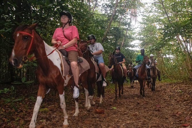 East Coast Horseback Riding & Waterfall Excursion - Getting there smoothly: pickup, small-group feel, and real timing