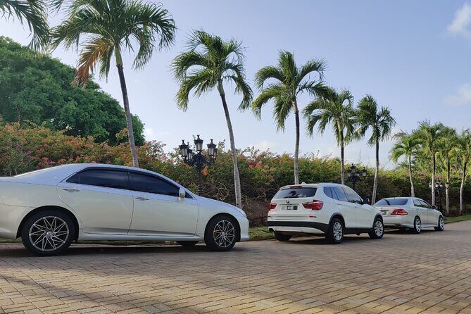 Fast Track (Expedited Arrival) & FREE Transfer To Hotel/Airbnb - Who this is best for in St Lucia