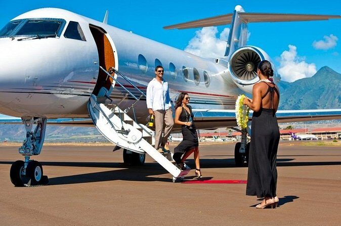 Fast Track On Arrival at St Lucia Airport & Round Trip Transfer - Return transfer matters: skipping the departure mess too