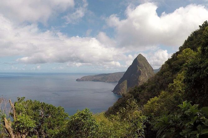 Gros Piton Hike - Gros Piton Nature Trail: tropical plants, birdlife, and steep steps