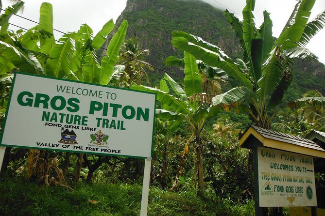 Gros Piton Hike with Dannyboy & Co. - Summit Views and the Piton Beer Reward
