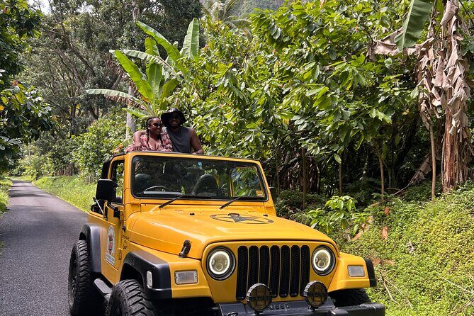 Half Day Private Tour in St. Lucia Jeep Wrangler - Key Things That Make This Jeep Tour Worth Booking