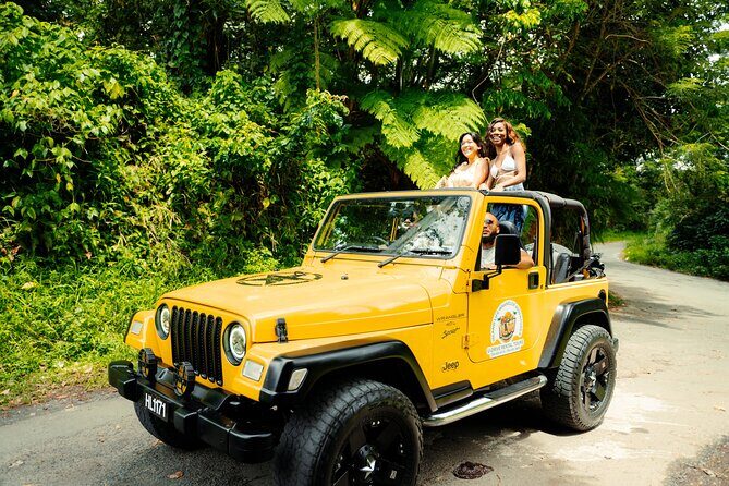 Half Day Private Tour in St. Lucia Jeep Wrangler - Stop 1: Marigot Bay Viewpoint—Quick Context, Great Photos, and Small-Scale Shopping