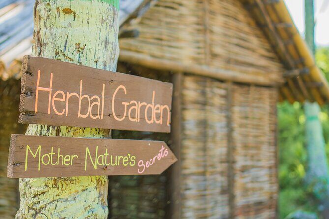 Historical 18th Century Estate Tour with Coconut Tasting - Morne Coubaril Estate near Soufriere: what you’re really touring