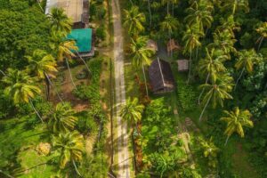 Historical 18th Century Estate Tour with Coconut Tasting - Coconut dehusking, copra drying, coconut water, and coconut jell