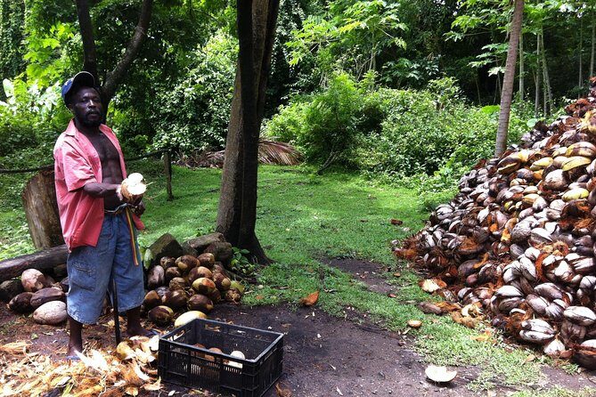 Historical 18th Century Estate Tour with Coconut Tasting - Sugar cane mill, cane juice, and the estate house