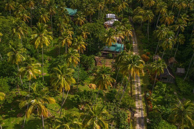 Historical 18th Century Estate Tour with Coconut Tasting - Price and value: getting $12 worth of tastings and story