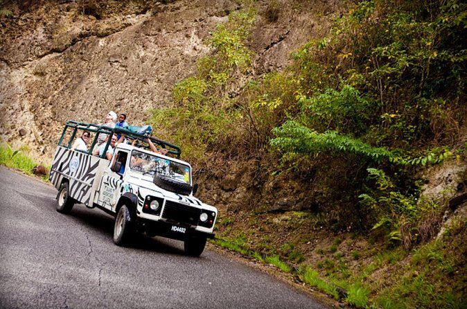 Jeep & Zip Safari St. Lucia From Castries - Price and Value: Is $157.90 a Good Deal?