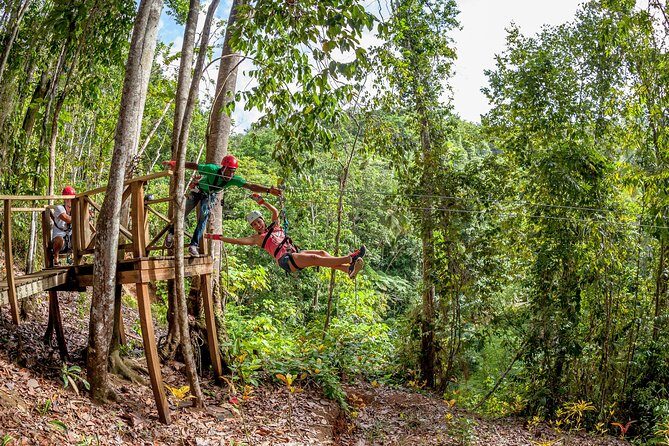 Jeep & Zip Safari St. Lucia From Castries - How to Make the Most of the Jeep & Zip Safari
