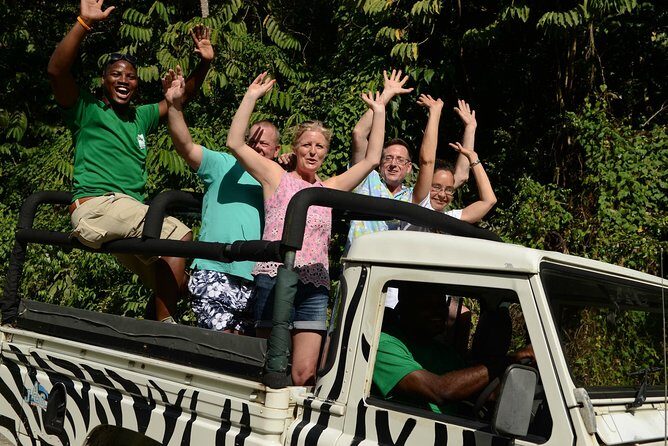 Jeep & Zip Safari St. Lucia From Castries - Treetop Adventure Park Zipline: Thrills, Timing, and Getting Value from the Ticket