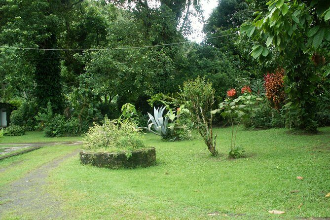 Magical Soufriere: A Tour of St Lucia - Group Size, Guide Style, and Why Names Like Samuel Matter