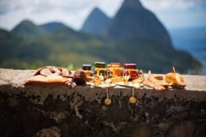 Mudbaths, Waterfall & Botanical Gardens Tour - All Inclusive - Pickup, timing, and what the day feels like
