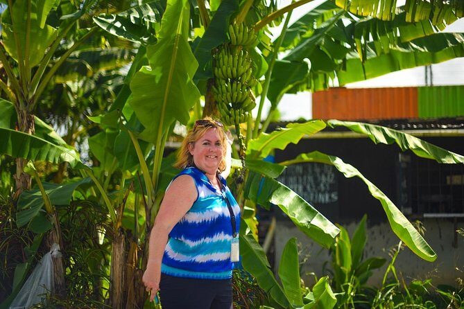 Mudbaths, Waterfall & Botanical Gardens Tour - All Inclusive - Stop 2: Sulphur Springs and the Drive-In Volcano experience