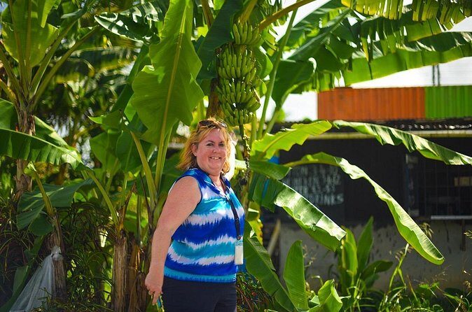 Mudbaths, Waterfall & Botanical Gardens Tour - All Inclusive - Stop 4: Toraille Waterfall, the Power Shower moment