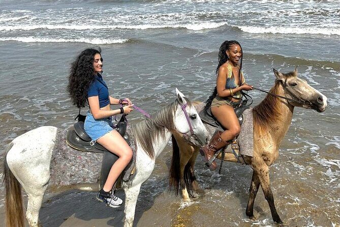 Nature & Historical Horseback Riding Tours St. Lucia - Price and Logistics: What $120 Buys in Real Terms