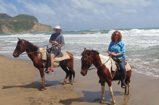 Nature & Historical Horseback Riding Tours St. Lucia - Beach Time for Swimming, Coconut Water, and Getting Off the Horse