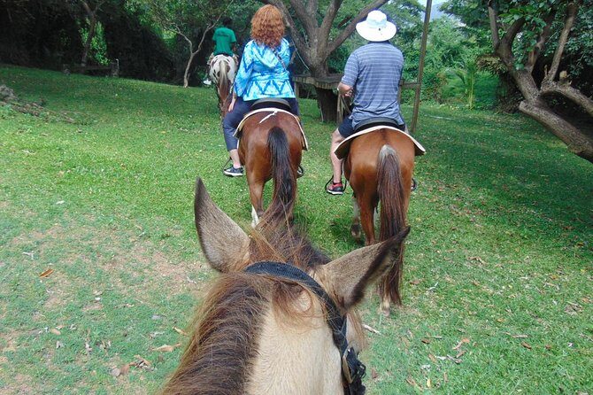 Nature & Historical Horseback Riding Tours St. Lucia - What to Pack and How to Set Expectations for a Smooth Ride