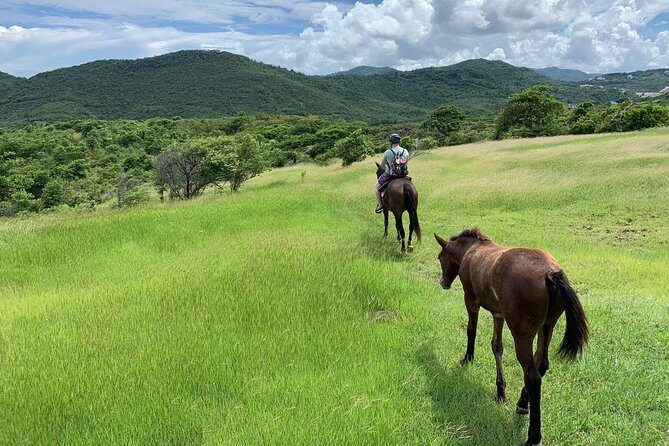 Private Advanced Horseback Beach Ride with Sandy Hoofs St. Lucia - Key Points to Know Before You Ride