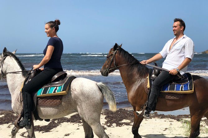 Private Advanced Horseback Beach Ride with Sandy Hoofs St. Lucia - Advanced Rider Reality Check: Questionnaire, Control, and Tack Confidence