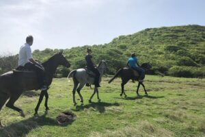 Private Advanced Horseback Beach Ride with Sandy Hoofs St. Lucia - From Sandy Hoofs to the Coast: The First Trails and Photo Stops