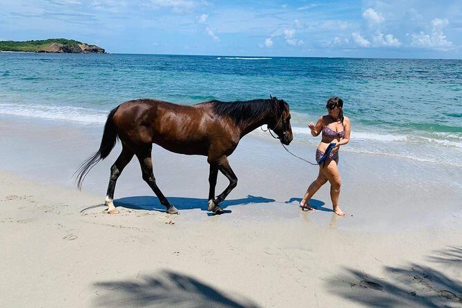 Private Beach Horseback Ride with Sandy Hoofs St. Lucia - Cost and Value: Is $99 Worth a Private 2-Hour Ride?