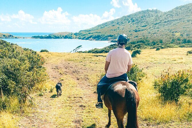 Private Beach Picnic Horseback Ride with Sandy Hoofs St. Lucia - Anse La Voute beach: picnic lunch, possible horse swim, and canter time