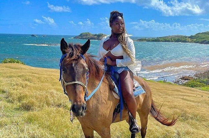 Private Beach Picnic Horseback Ride with Sandy Hoofs St. Lucia - The small extras: dogs on the team and why it changes the vibe