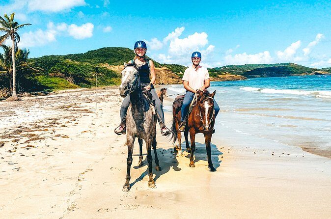 Private Beach Picnic Horseback Ride with Sandy Hoofs St. Lucia - Price and value: what $129 per person buys you