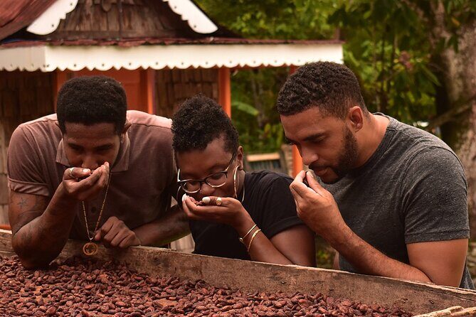 Private Chocolate Making Class - Key points at a glance