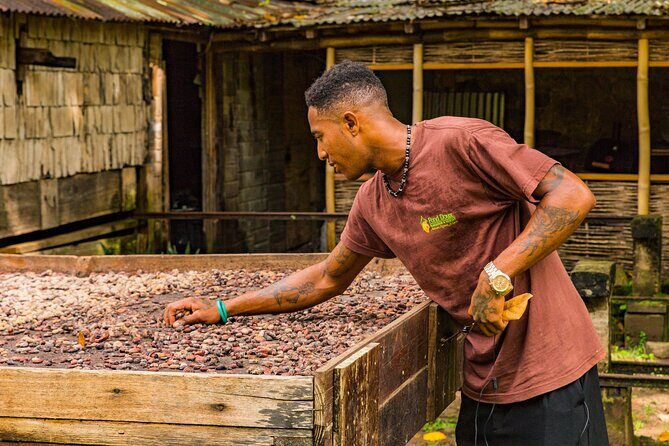 Private Chocolate Making Class - Private tour value: no mixing, more questions, less waiting