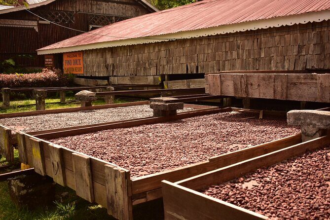 Private Chocolate Making Class - Should you book this private chocolate making class?