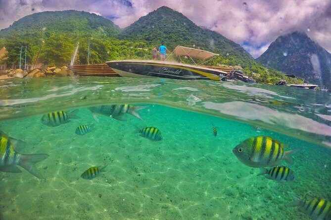 Private Custom Coastal Cruise St. Lucia Half Day - Snacks, Open Bar, and What to Expect on Drinks