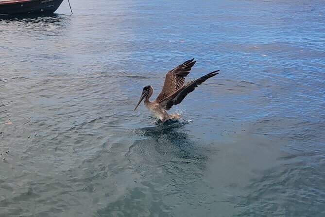 Private Full Day Snorkel Soufriere Charter - Soufriere sights without the stress: Pitons, villages, and Marigot Bay