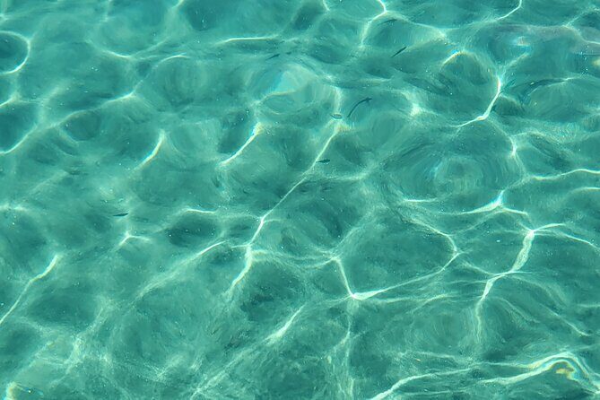 Private Full Day Snorkel Soufriere Charter - Snorkeling at Anse Chastanet: marine reserve reef time