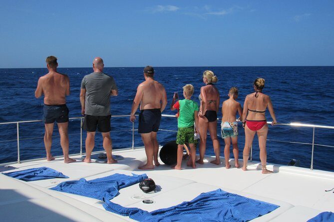 Private Luxury Catamaran Cruise in St. Lucia - Snorkeling expectations: gear is included, sites can vary, and conditions matter