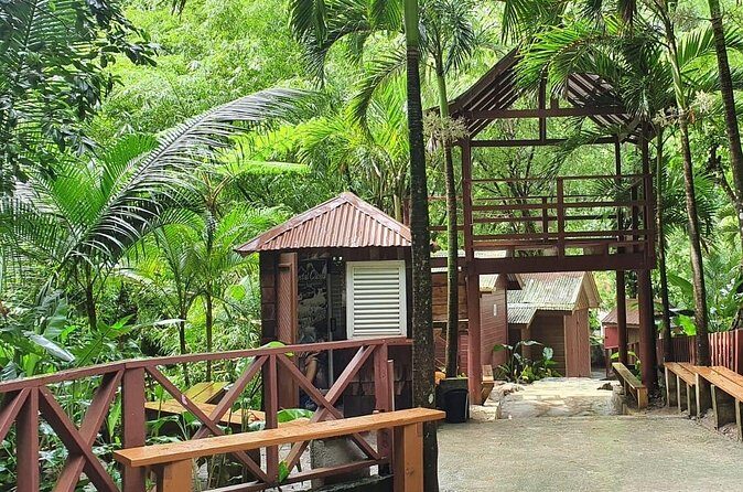 Private Tour of Sulphur Spring and Toraile Waterfall in Soufriere - Toraille Waterfall: cool pool time after the heat