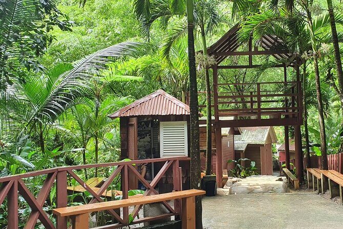 Private Tour of Sulphur Spring and Toraile Waterfall in Soufriere - What to pack for mud, water, and a full day