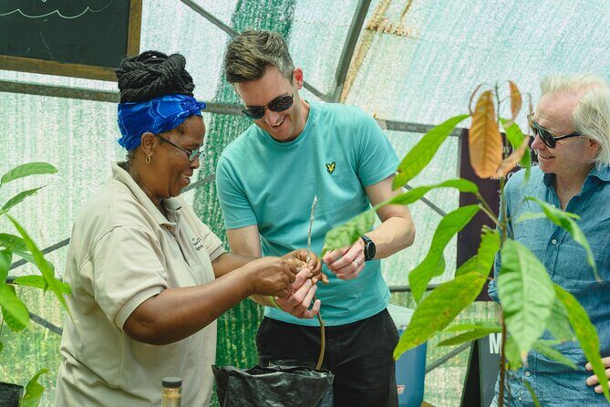 Project Chocolat Tree to Bar Tour at Hotel Chocolat Saint Lucia - Onsite shop after your bar: take-home chocolate and drinks