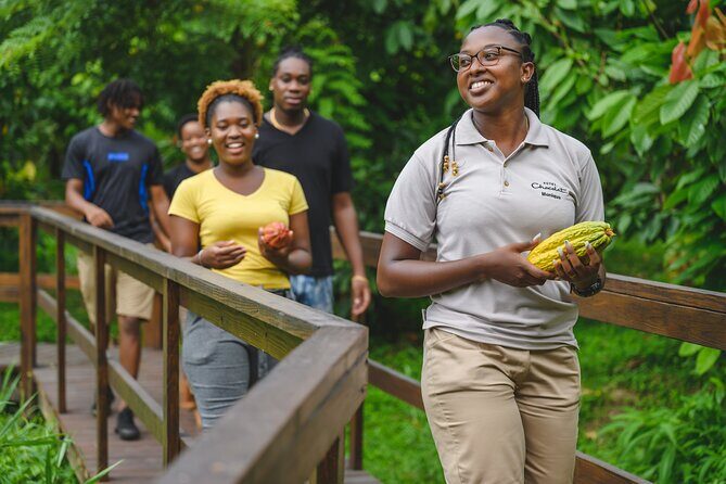 Project Chocolat Tree to Bar Tour at Hotel Chocolat Saint Lucia - Who should book this Tree to Bar tour, and who might not love it