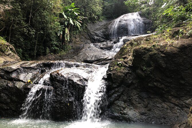 Rainforest Hike and Waterfall Safari - Fruit plantations, local stops, and wildlife spotting along Saint Lucia’s west coast